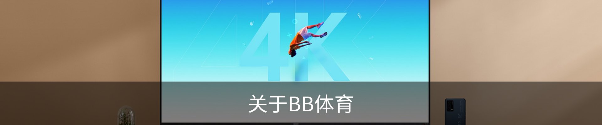 关于BB体育